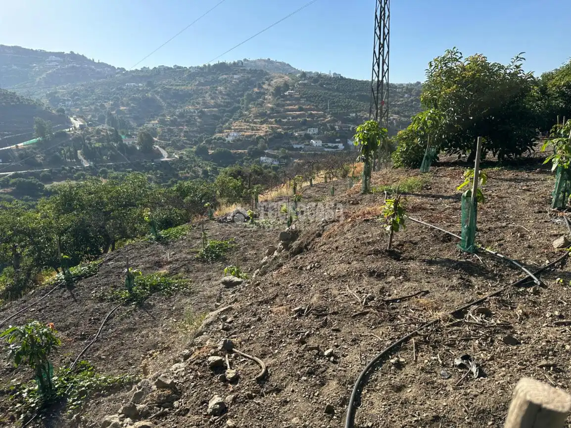 Terreni e lotti in vendita a Torrox Pueblo, imagen 14