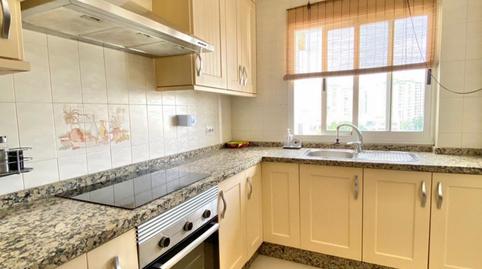 Foto 3 de Apartament per a compartir a Pago San José - Princi - Jerez, Jerez de la Frontera