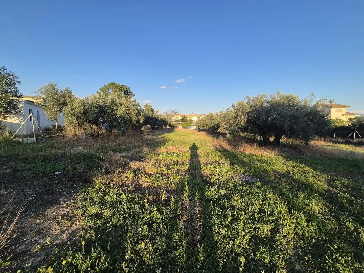 Terrain résidentiel à vendre à Pantano de Cubillas, imagen 6
