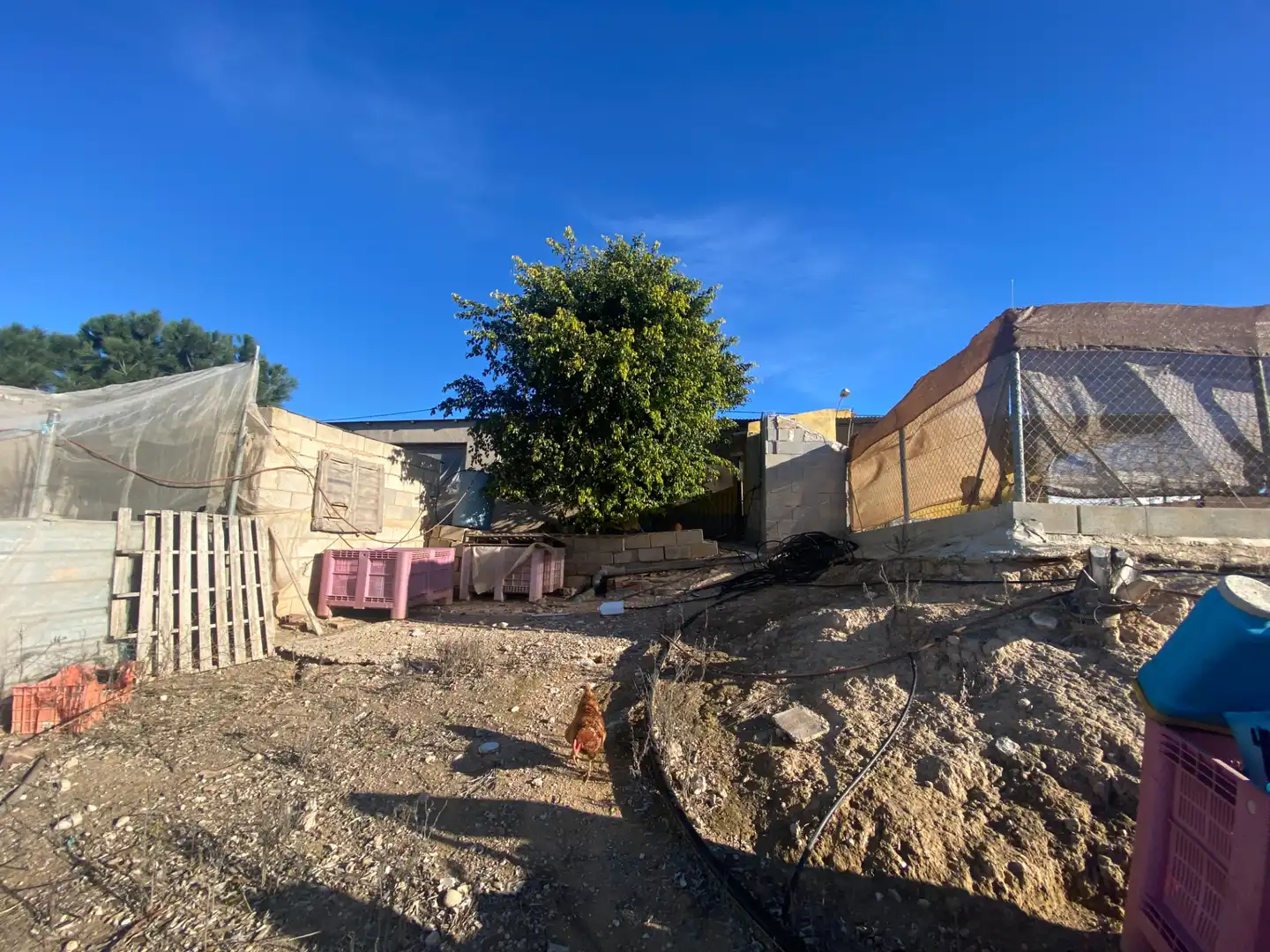 Vista exterior de Finca rústica en venda en Torre-Pacheco amb Terrassa, Piscina i Moblat