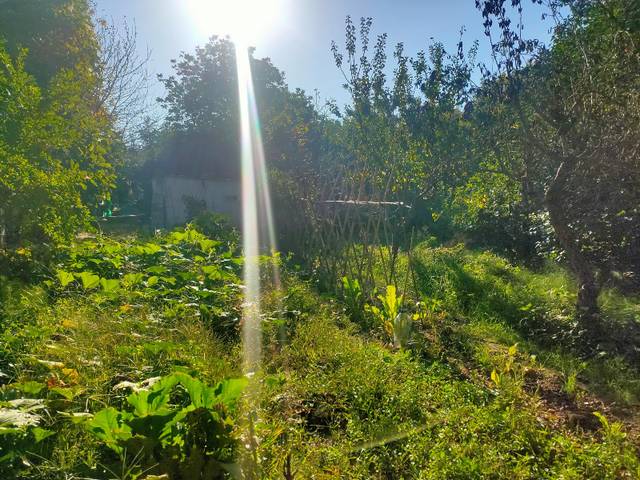 Terreno en Venta en Estadilla