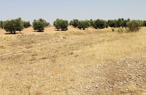 Residential for sale in Almadén