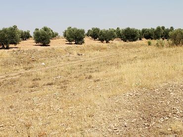 Residential land for sale in Calle Mayor de San Juan