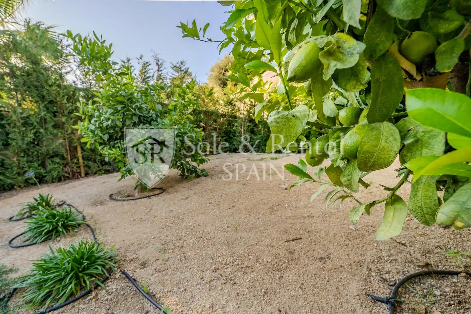 Casa con piscina en venta en Roca Grossa, imagen 26