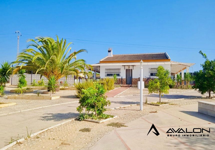 Vista exterior de Finca rústica en venda en Moguer amb Aire condicionat, Jardí privat i Traster