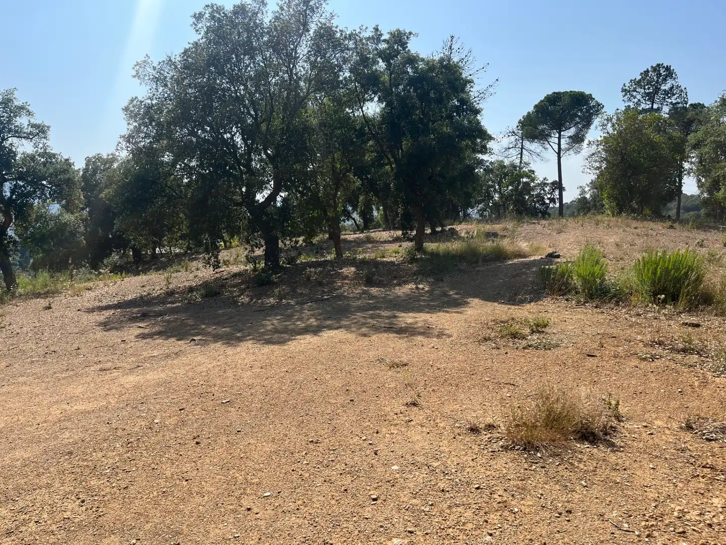 Terrain résidentiel à vendre à Urbanizacion Mas Llunes 1723, imagen 4