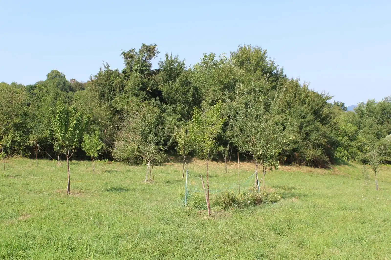 Terreno en venta en Donamaria