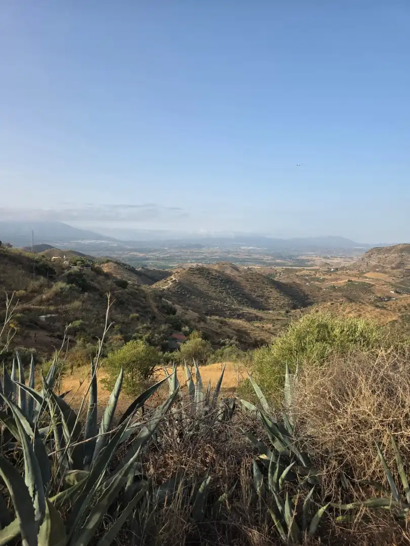 Terreny rústic en venda a Pizarra 0, imagen 10