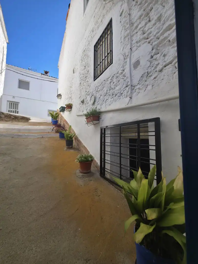 Xalet amb piscina en venda a Calle NARANJOS, imagen 26