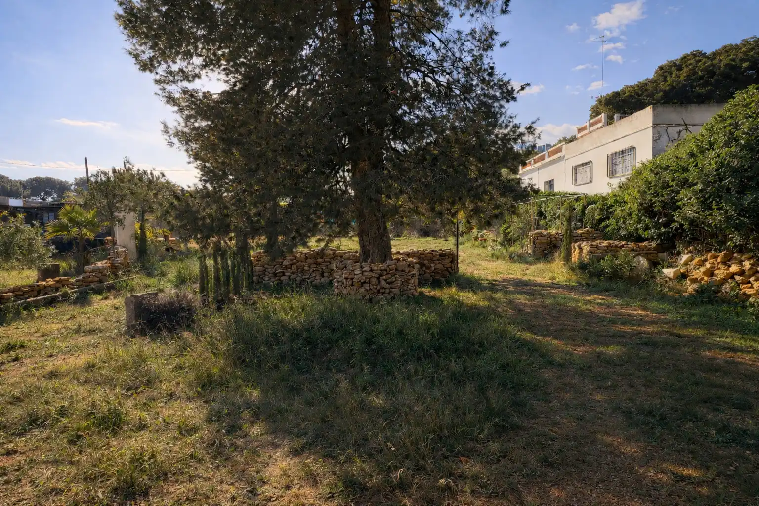 Terreno rustico in vendita a Cami Ermita Nova, imagen 7