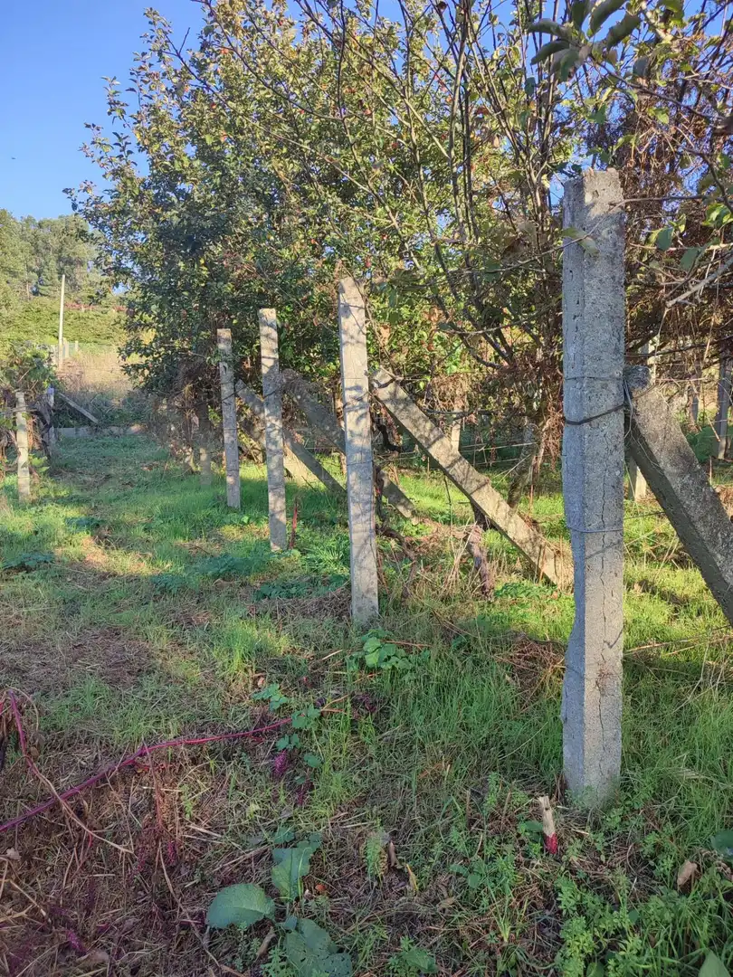 Casa o chalet en venta en Vigo 