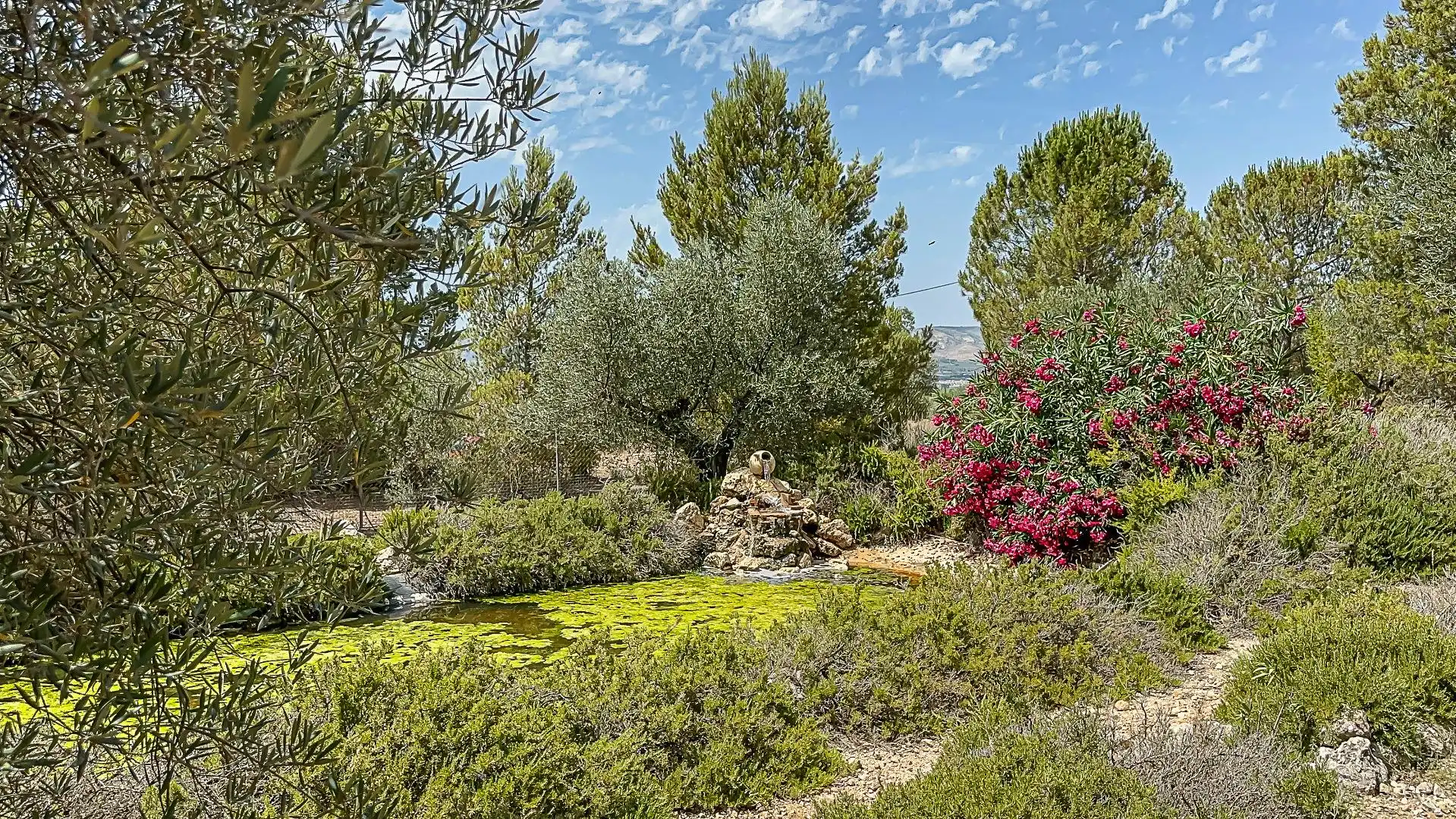 Finca rústica en venda en Biar amb Calefacció, Jardí privat i Terrassa