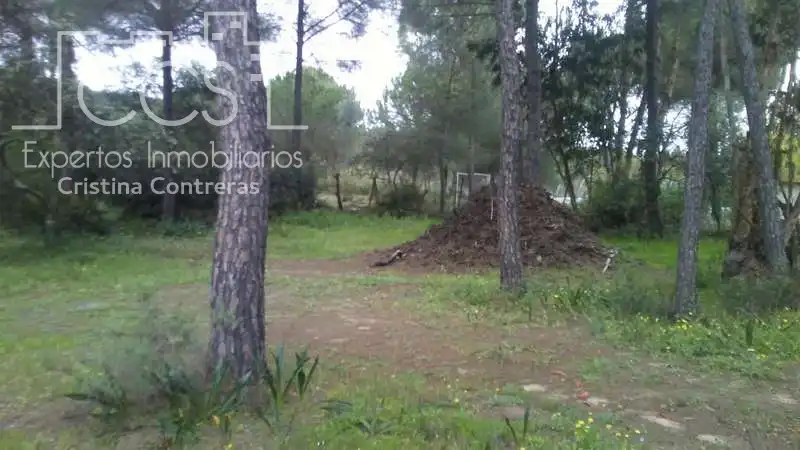 Casa rústica en venda a Almonte ciudad, imagen 22