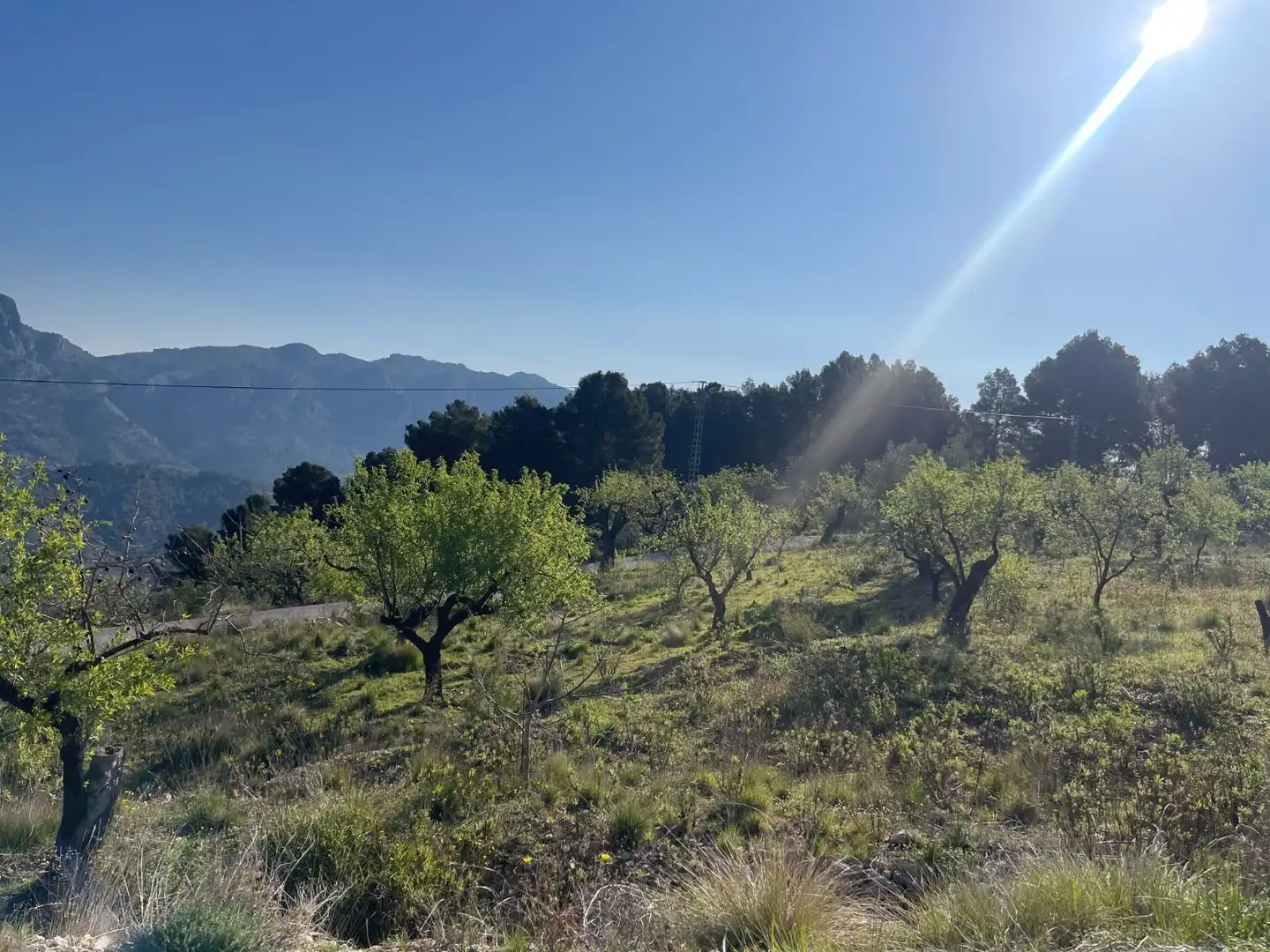 Terrenys i solars en venda a Benifato, imagen 7