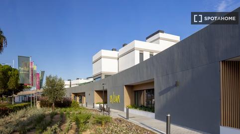 Photo 3 of House or chalet to share in Campanillas, Málaga Capital