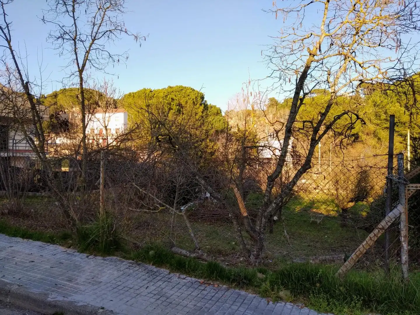 Terreno residencial en venta en Calle POMPEU FABRA, imagen 6