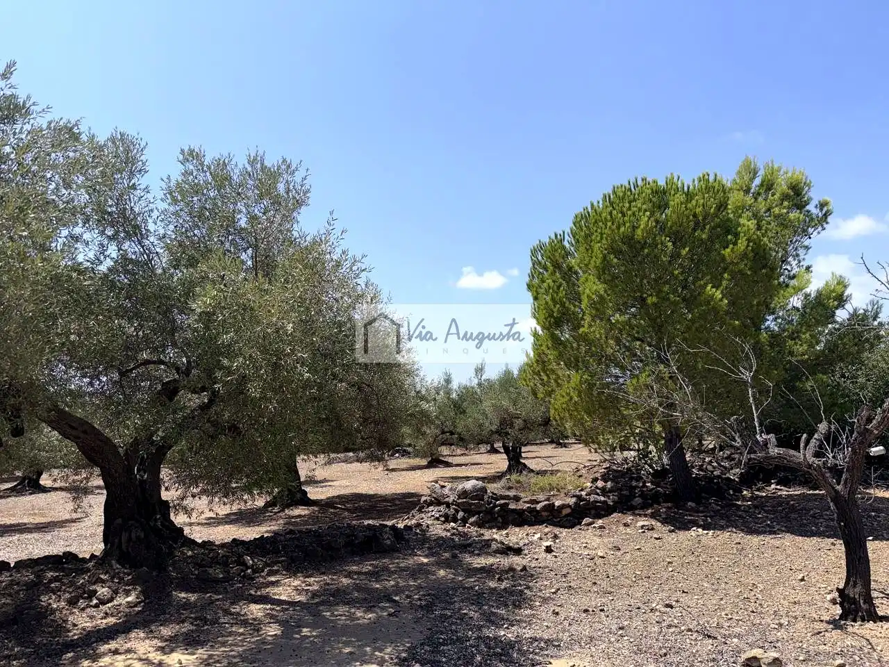 Terrain rustique à vendre à Espinal, imagen 22