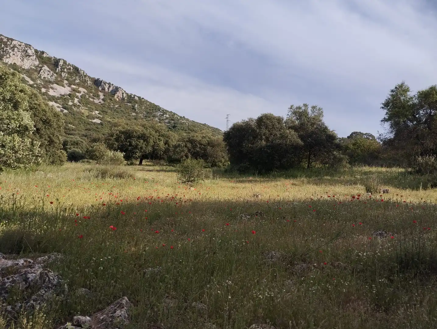 Terreno rustico in vendita a Calle Doña Mencía
