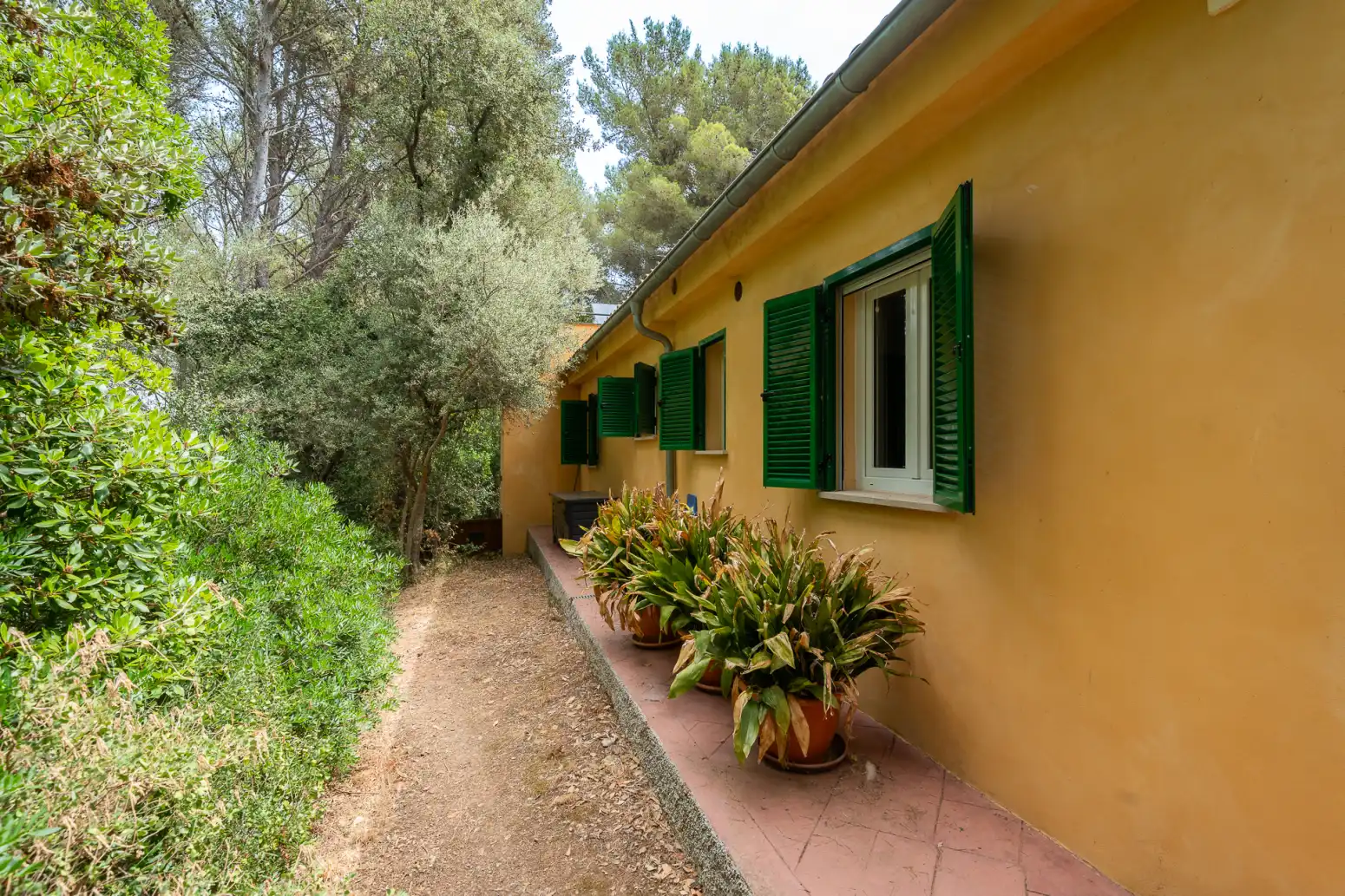 Casa amb piscina en venda a Esporles - Urbanización Es Verger, imagen 37