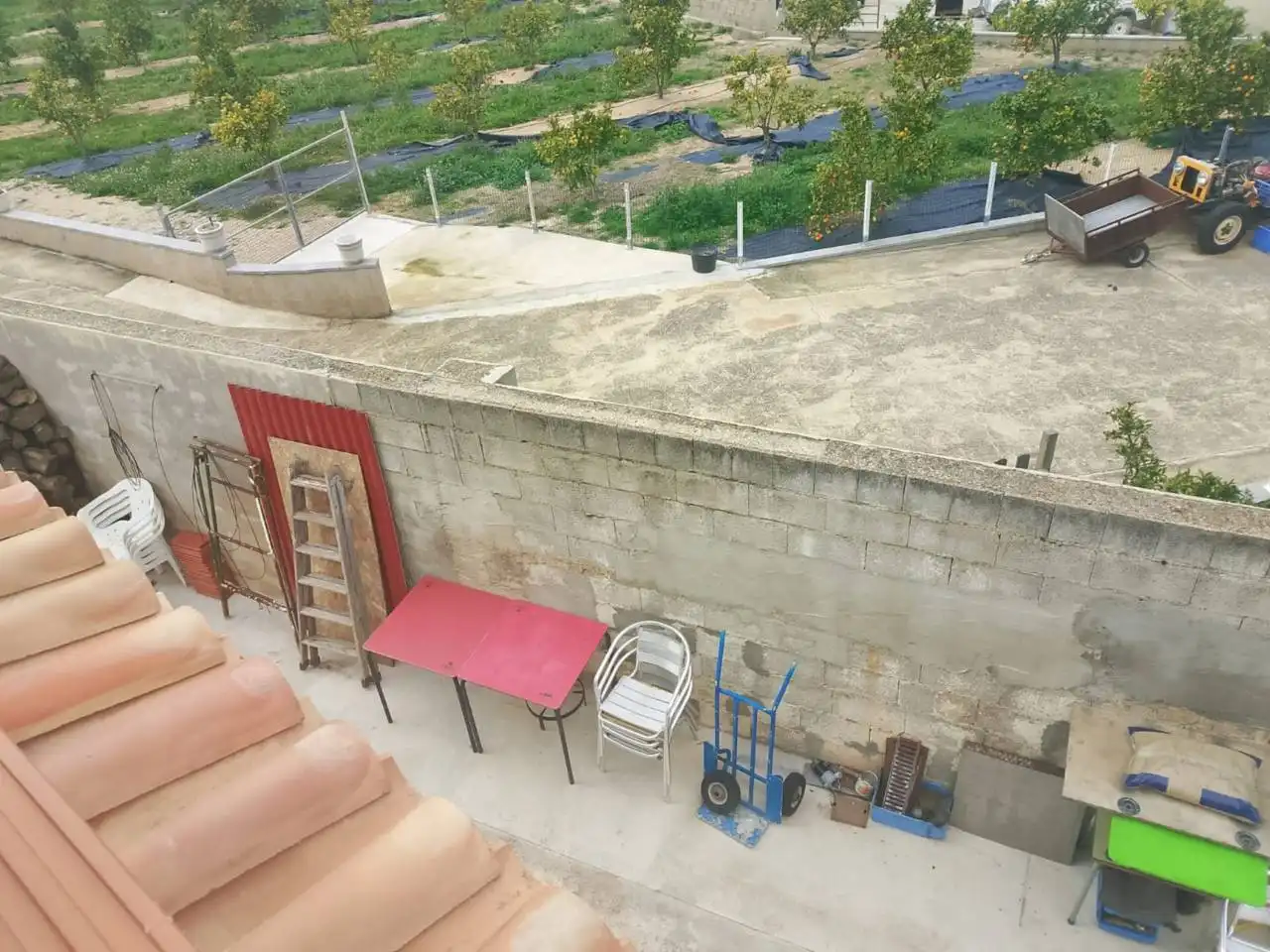 House with garden for sale in Calle Proyecto 21 44, imagen 23