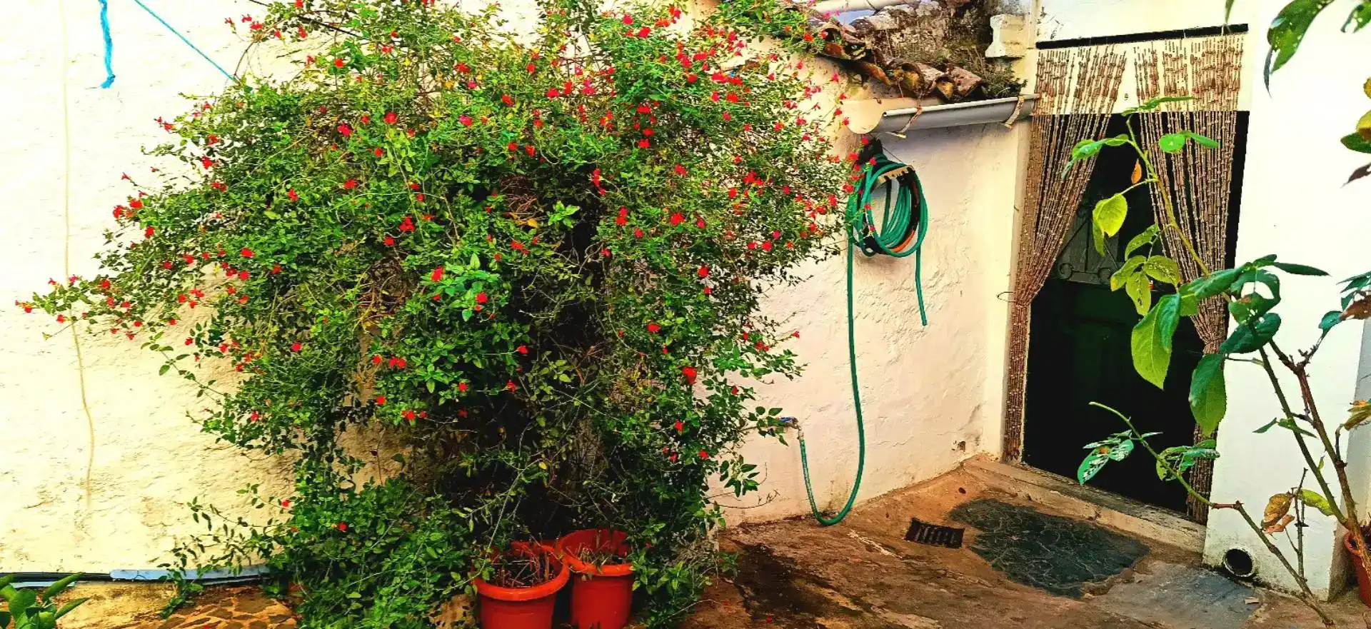 Jardí de Finca rústica en venda en Aracena amb Balcó