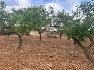 Terreno rustico in vendita a Cabanes, imagen 2