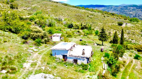 🏔️ FINCA DE 4 HECTÁREAS CON AGUA PROPIA, CORTIJO Y RUINAS EN LA SIERRA DE JÚBAR 🌿, immagine 3