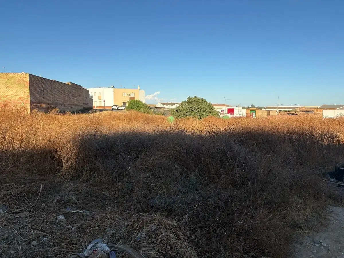 Terrenos y solares en venta en Bollullos Par del Condado, imagen 4
