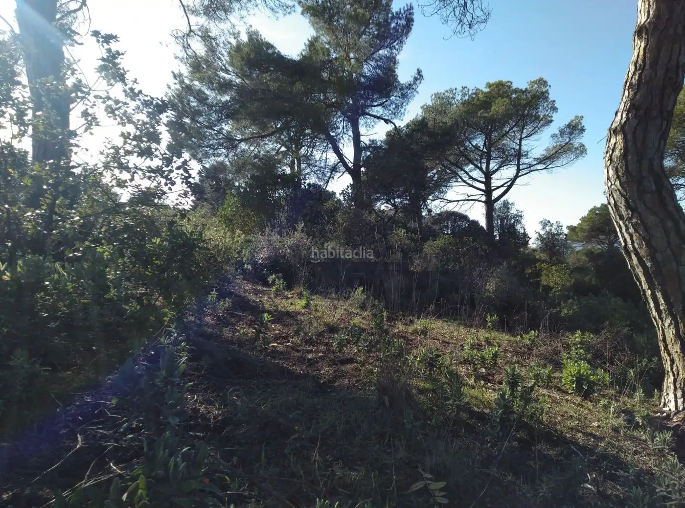 Terreny residencial en venda a Carrer Torrent del Llort 37, imagen 6