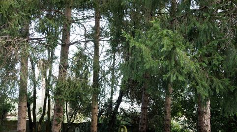 La Casa del Magnolio. Algunas casas nacen para durar., imatge 2