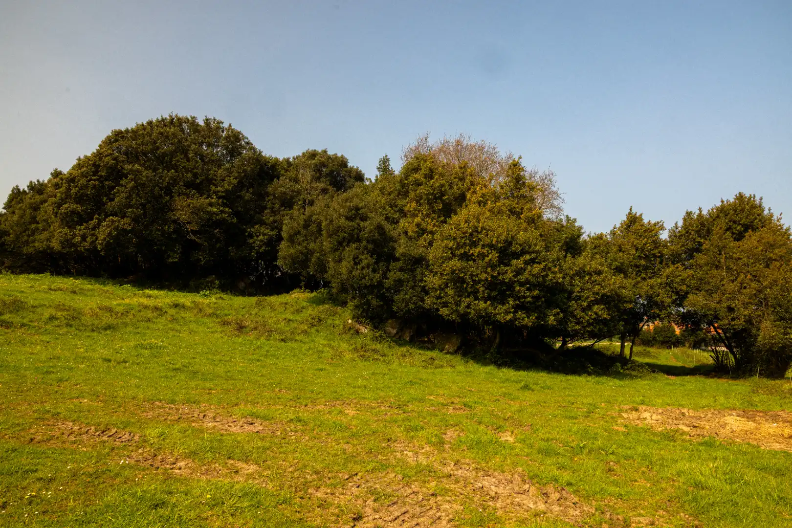 Residential for sale in Santa Cruz de Bezana