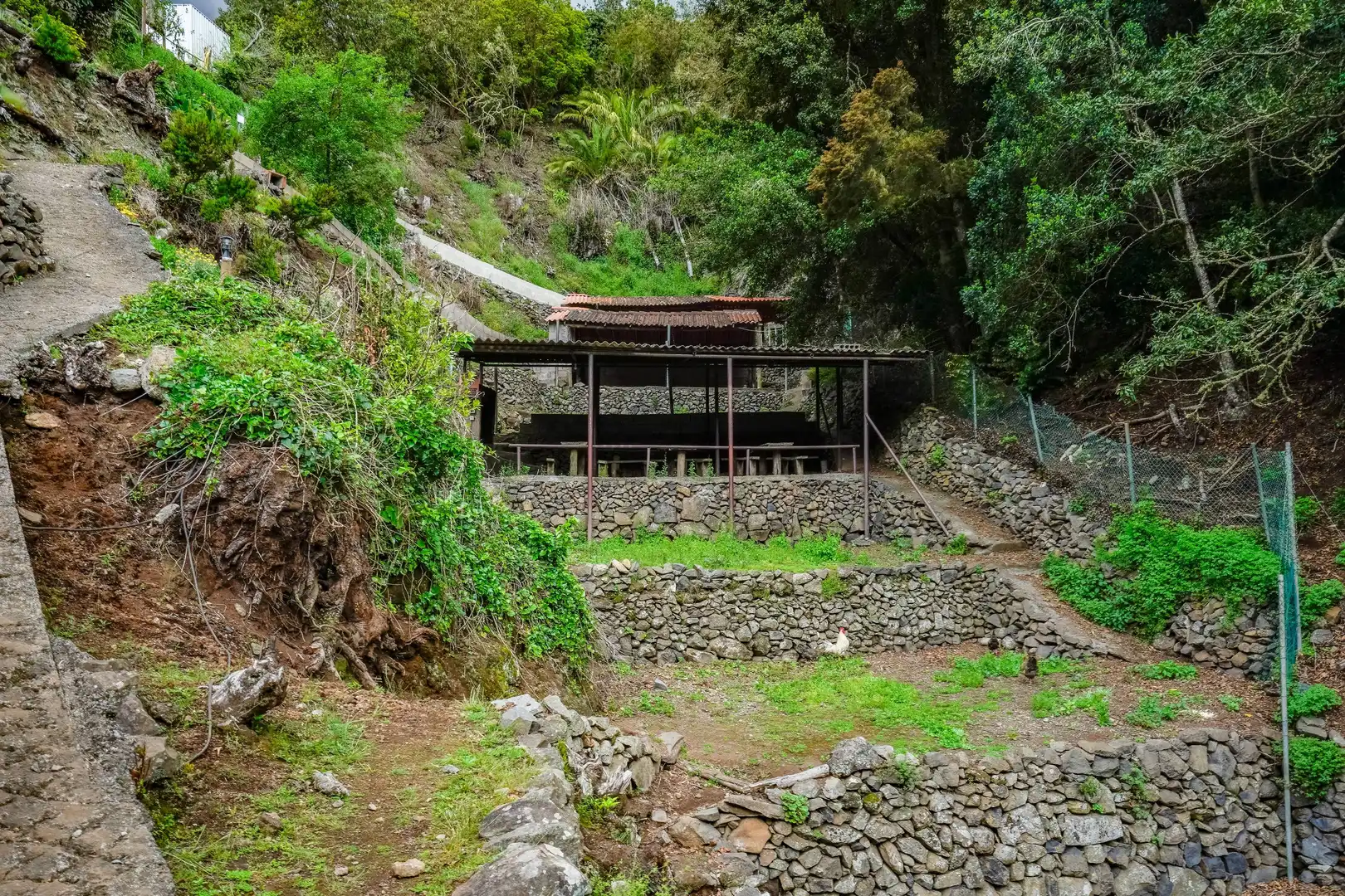 Finca rústica en venta en Calle Calle El Cedro, 52, Hermigua