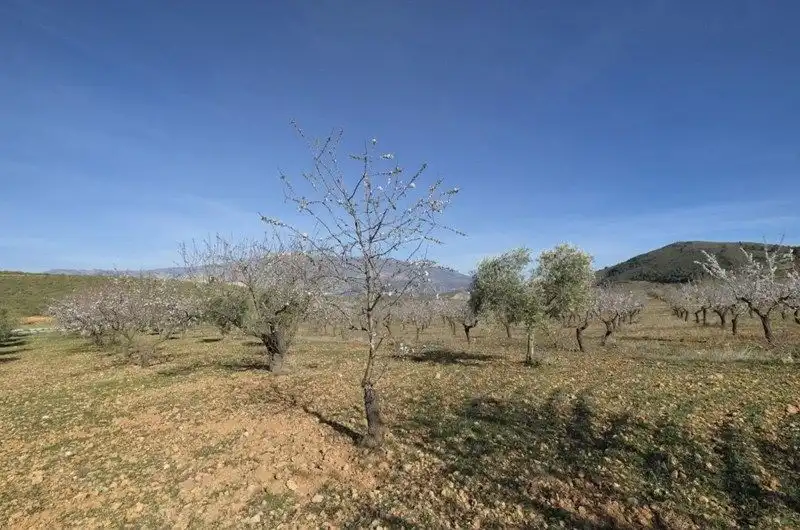 Terreno rustico in vendita a El Valle, imagen 19