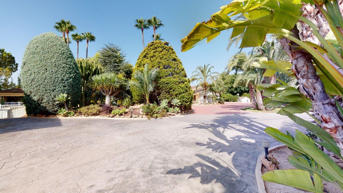 Jardí de Casa o xalet en venda en Elche / Elx amb Aire condicionat, Jardí privat i Terrassa