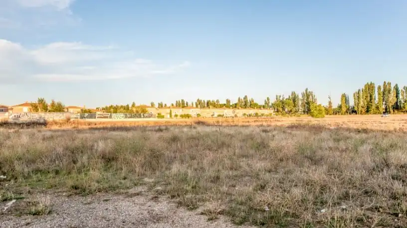 Terreno residencial en venta en ctra Puente Duero Sector 16 Ua1 Parcela 2, imagen 5