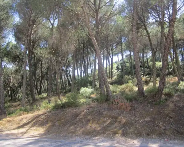 House for sale in Periurbano Oeste - Sierra, imagen 5