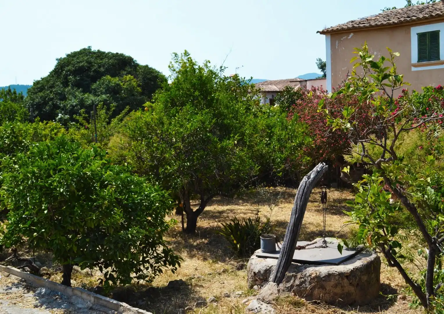 Casa o xalet en venda a Ma-1040, El Secar de la Real