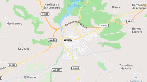 Foto 4 de Piso en venta en Sónsoles, Ávila Capital