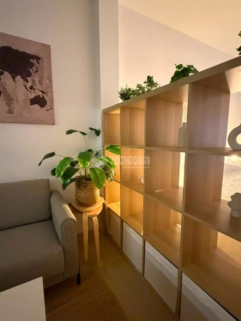 Sala d'estar de Estudi de lloguer en Madrid