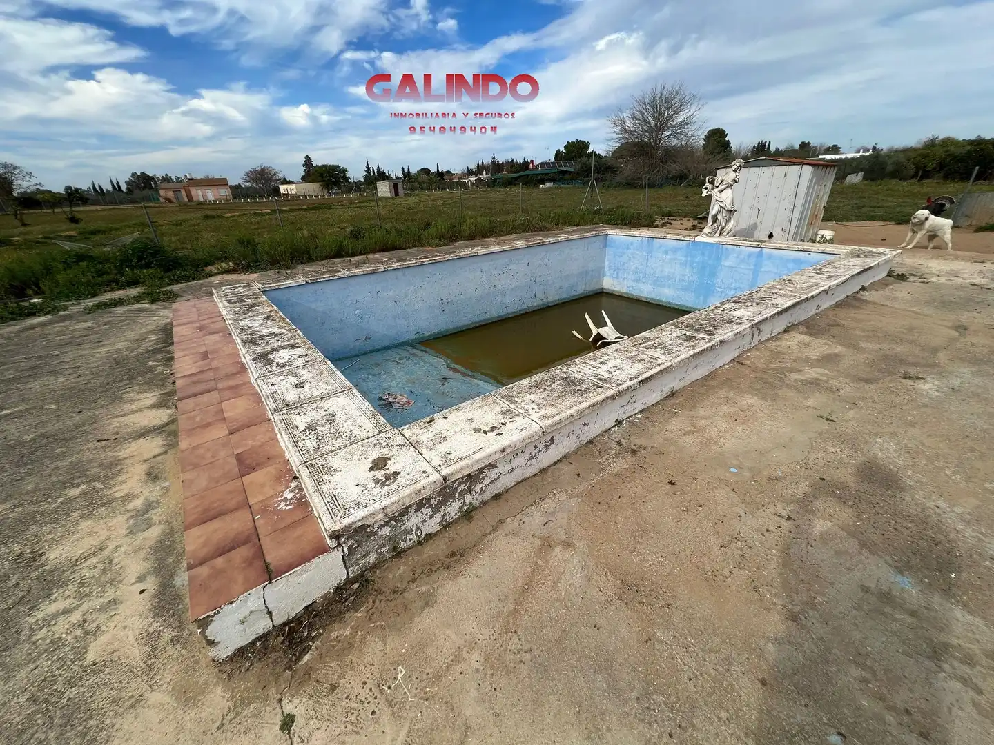 Xalet amb piscina en venda a Arahal, imagen 8