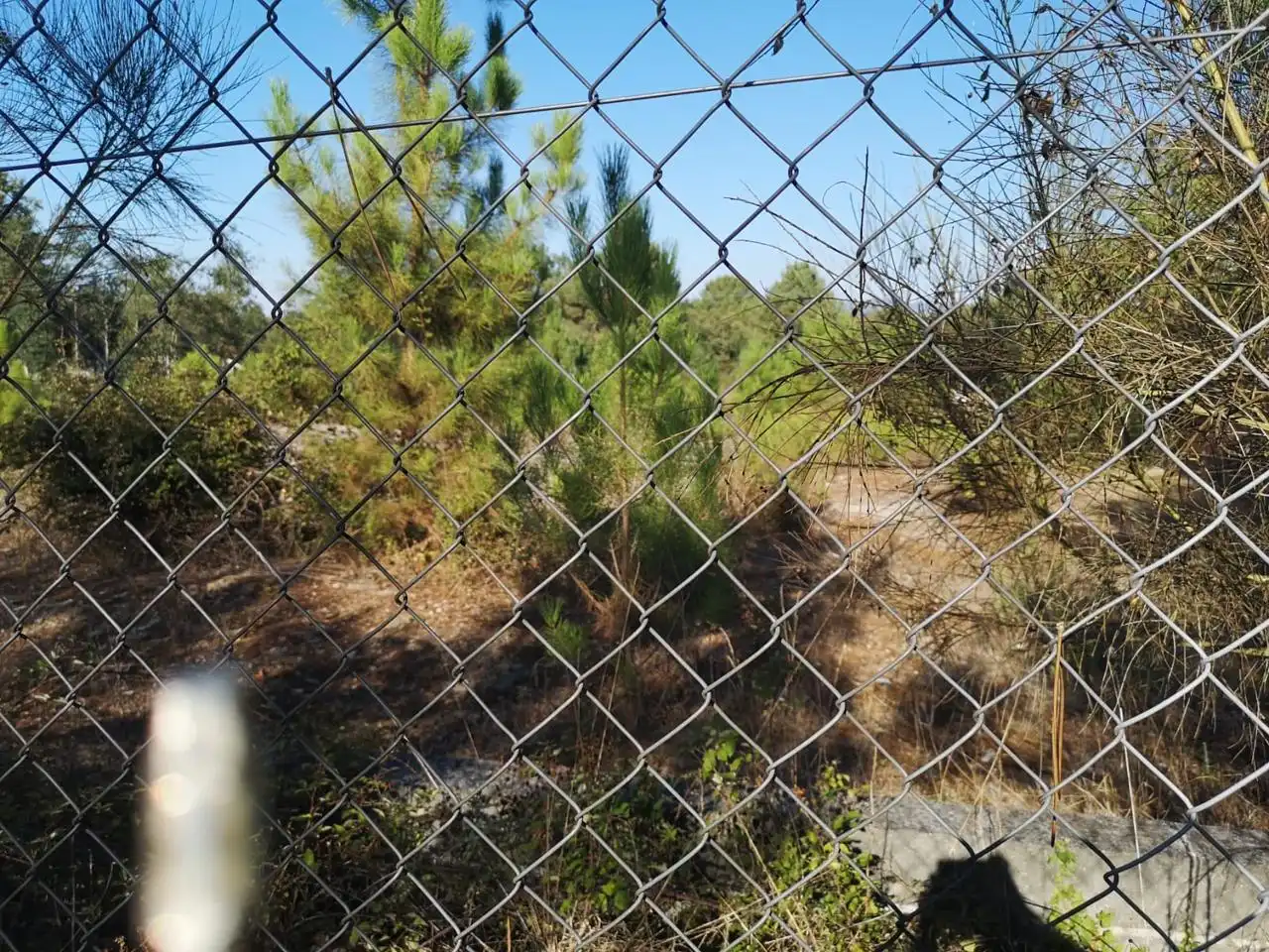 Terrenys i solars en venda a O Pereiro de Aguiar, imagen 8
