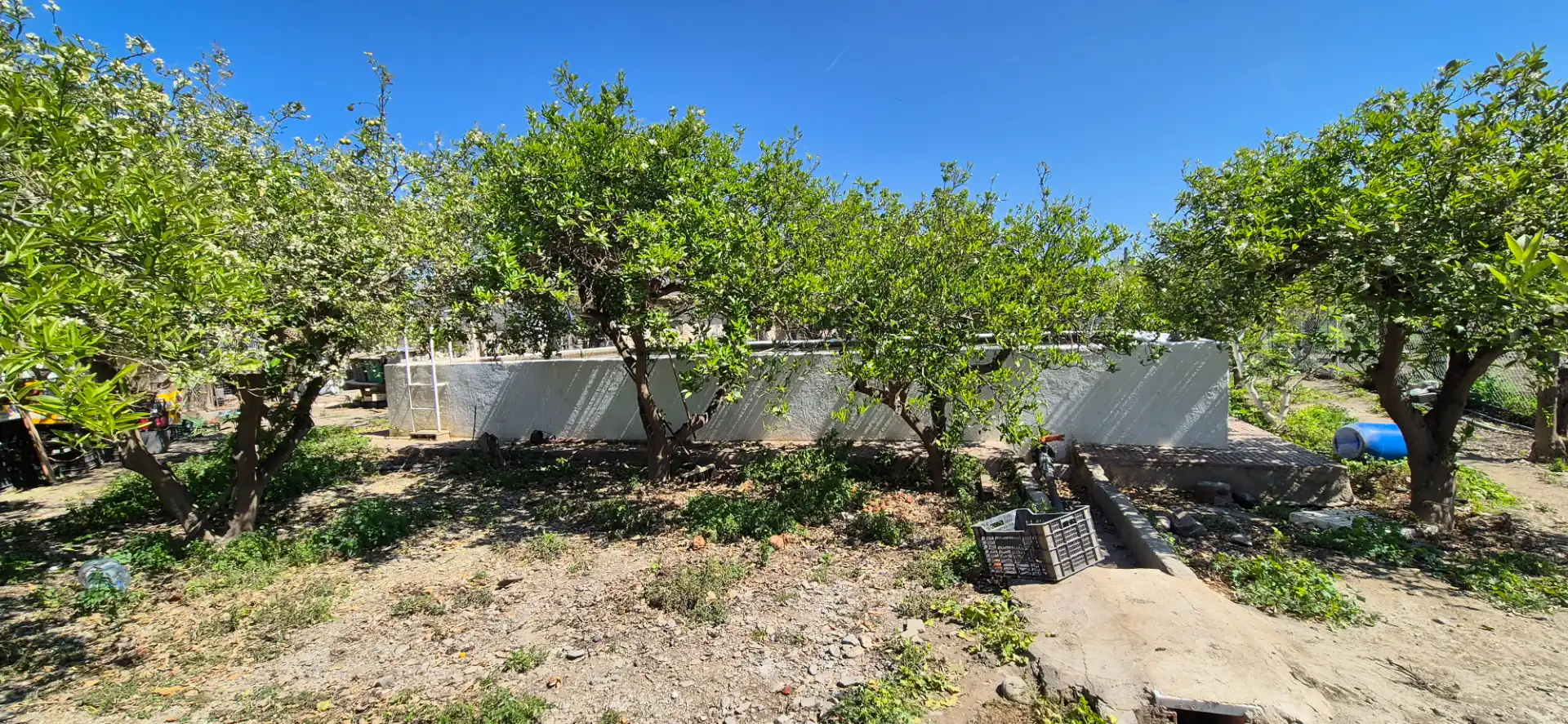 Finca rústica en venda en Benahadux
