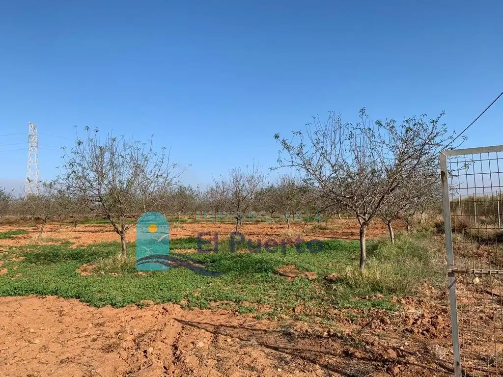 Terreno rústico en venta en Pedanías Oeste, imagen 10