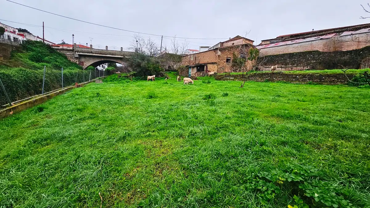 Residential for sale in Arroyomolinos de León