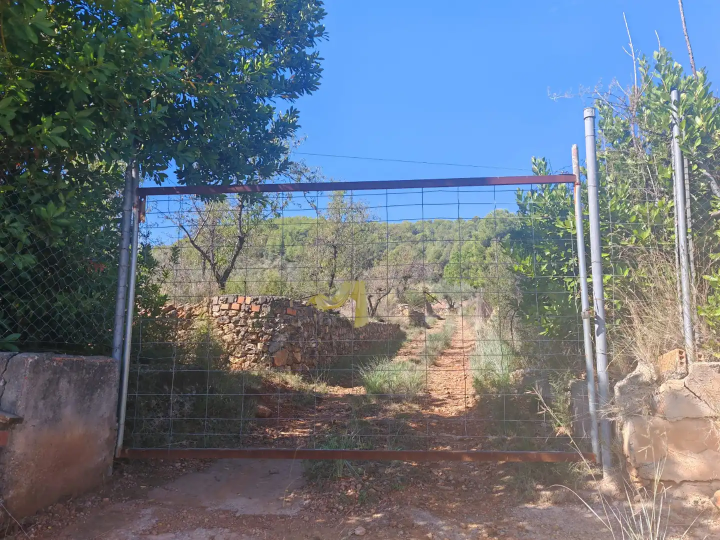 Rural land for sale in Onda