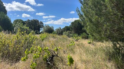 Finca rústica en Cenicientos, immagine 4