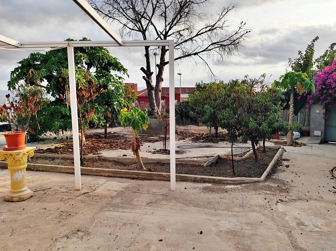 House or chalet for sale in Calle Calle Vista Alegre de La Ñora, La Ñora