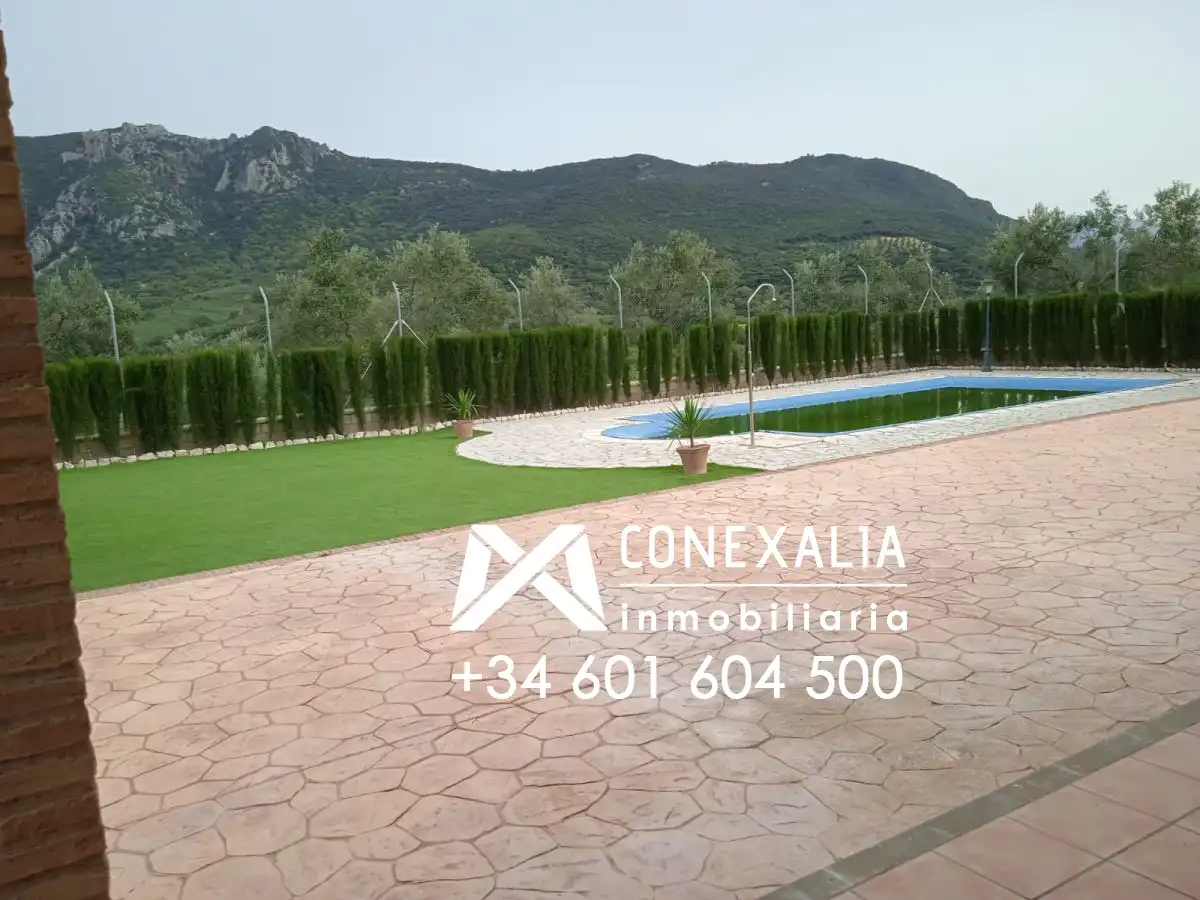 Jardín de Finca rústica en venta en Algodonales con Piscina