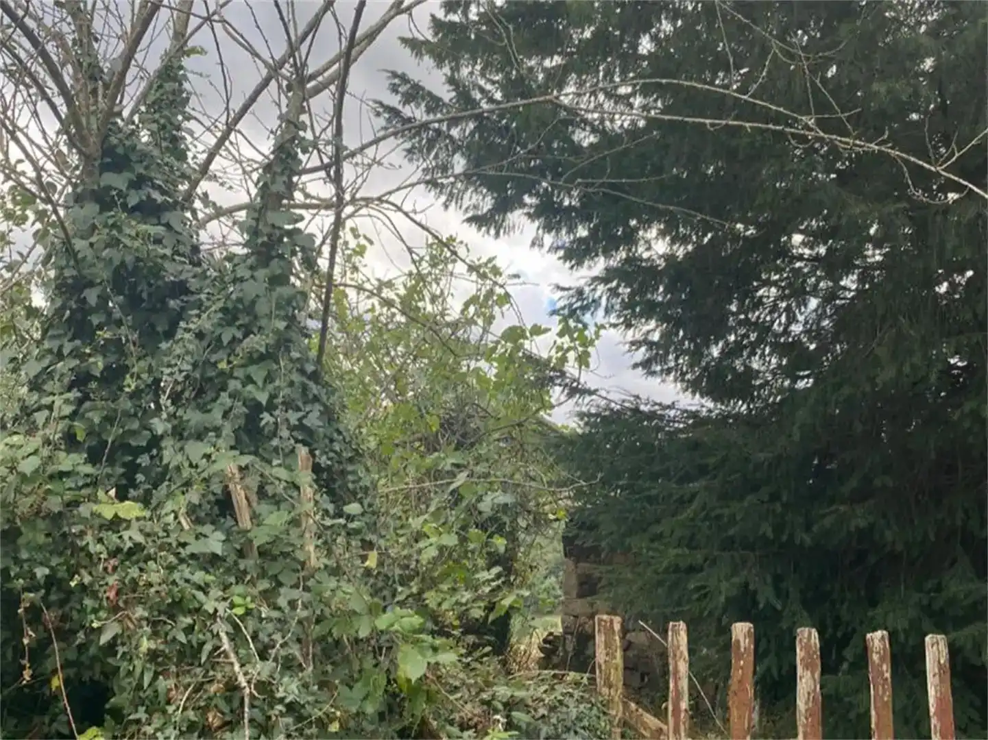 Finca rústica en venta en Belmonte de Miranda, Asturias