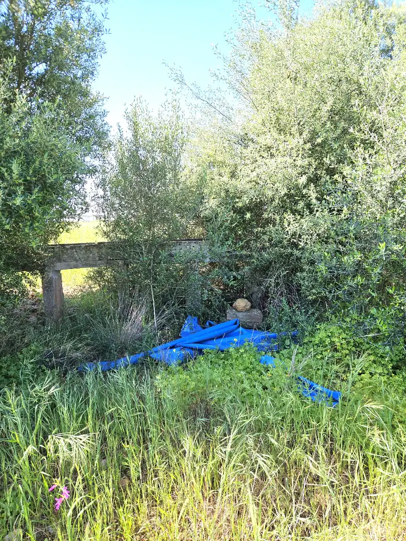 Land for sale in  Palma de Mallorca
